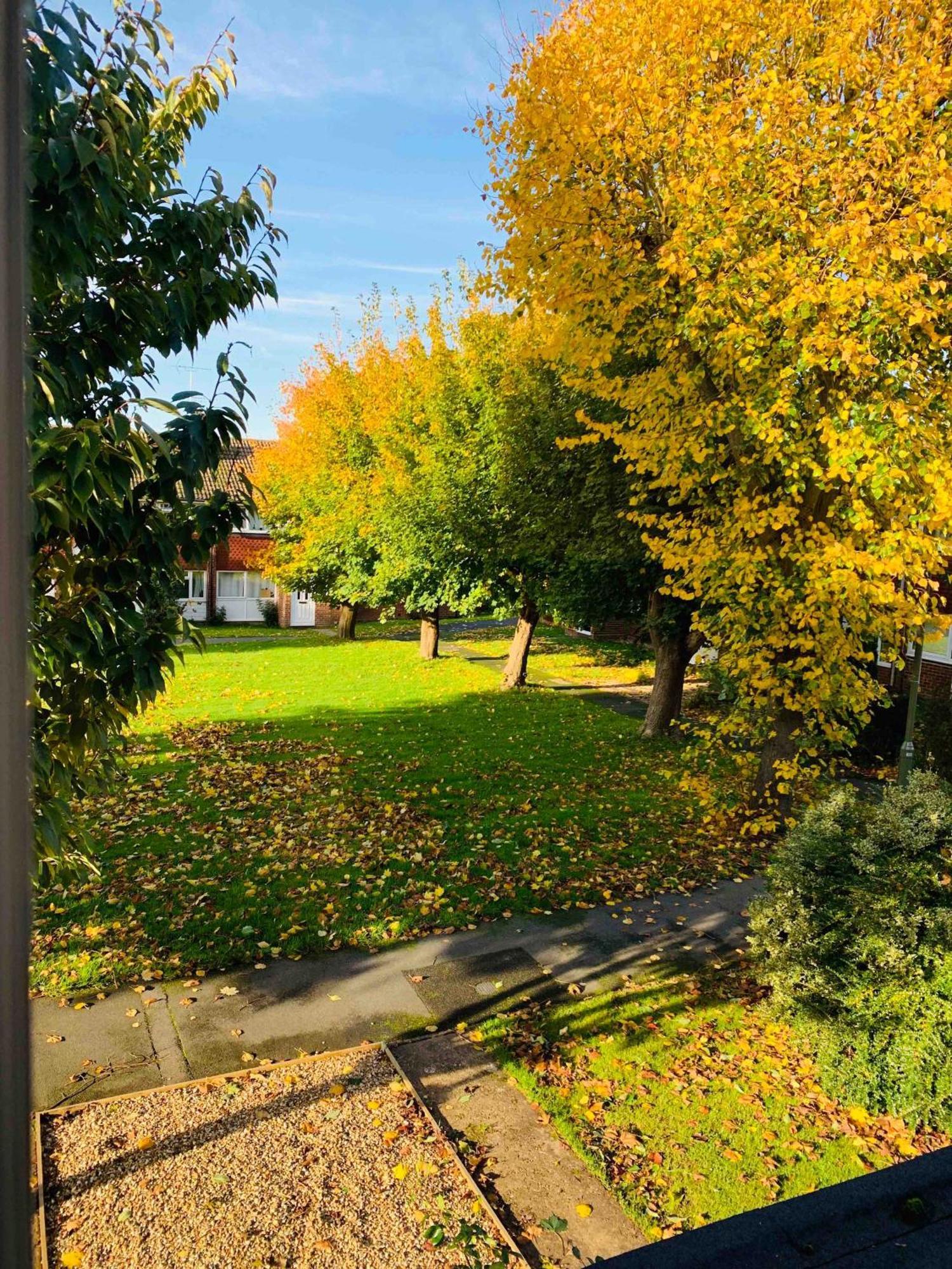Spacious House, Free Parking & Patio Garden Farnham  Εξωτερικό φωτογραφία